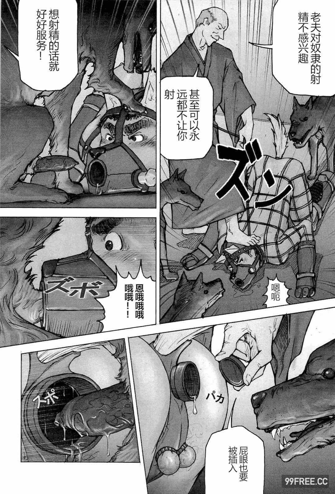 第19张