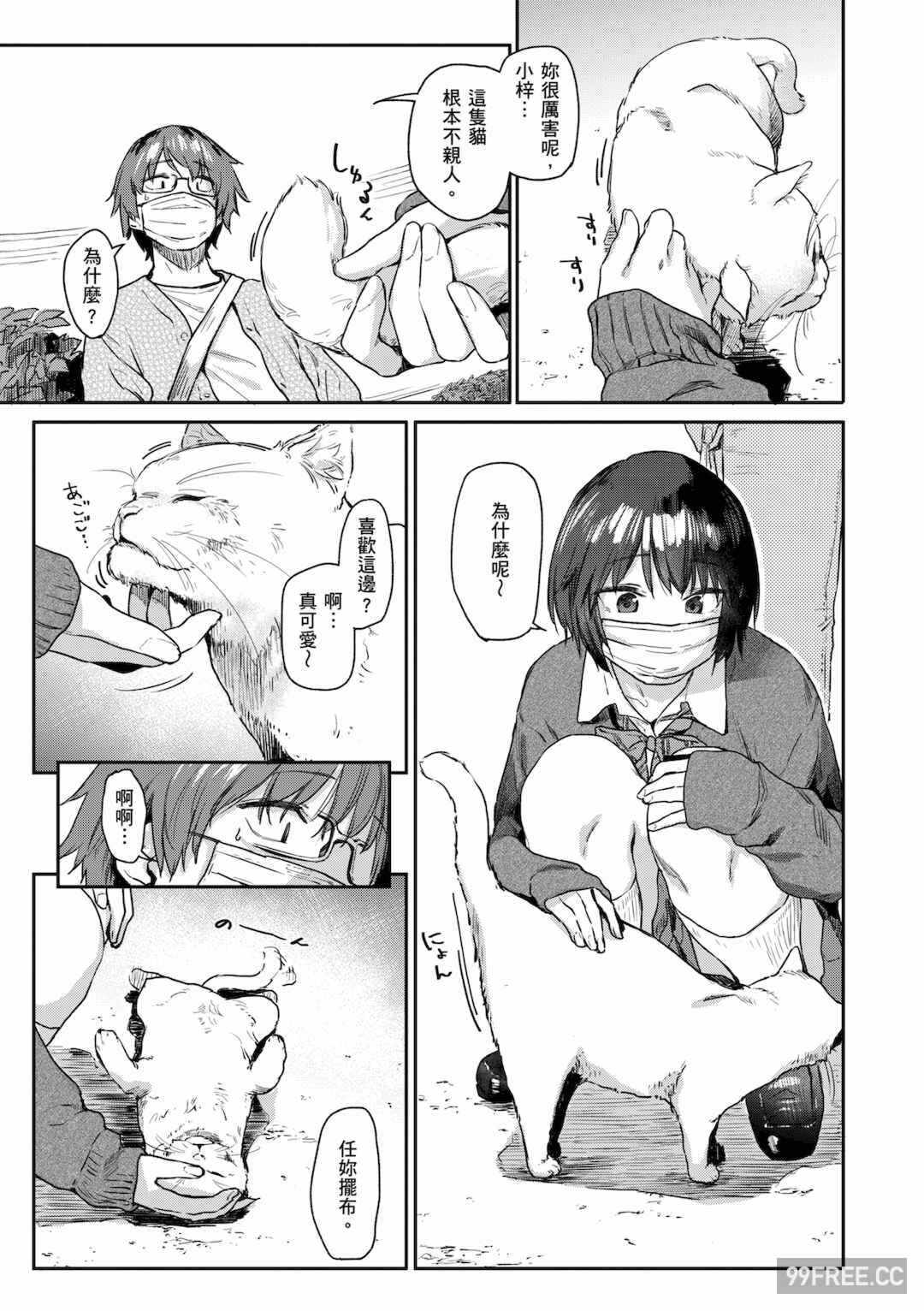 第19张