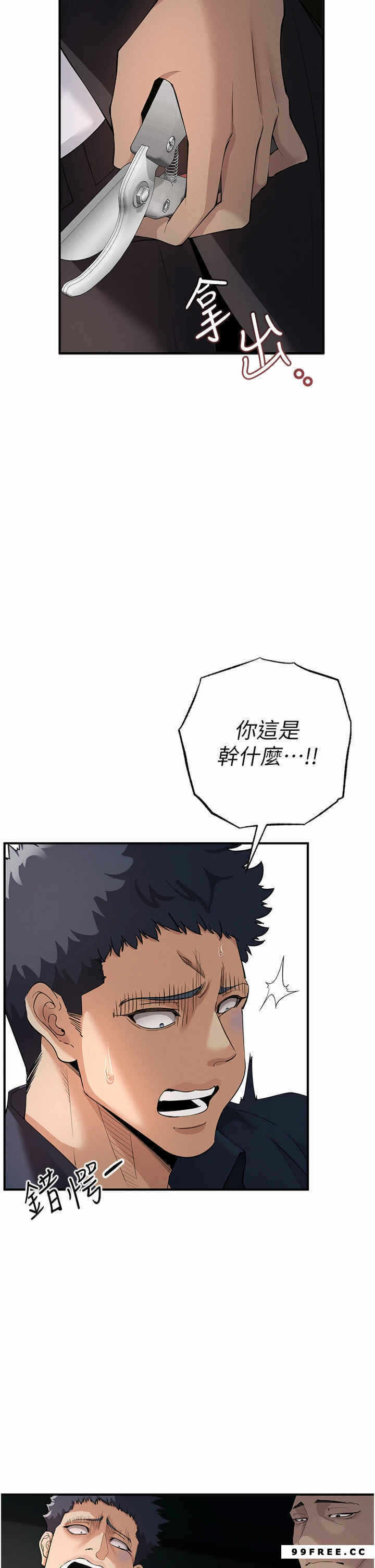 第21张