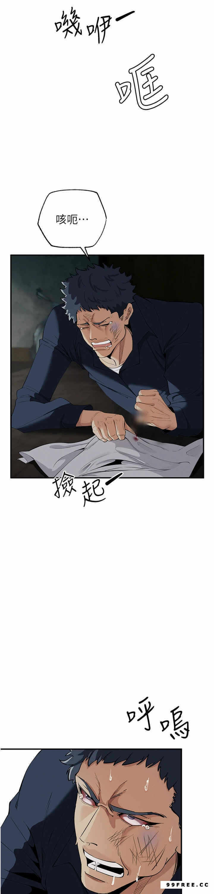 第31张
