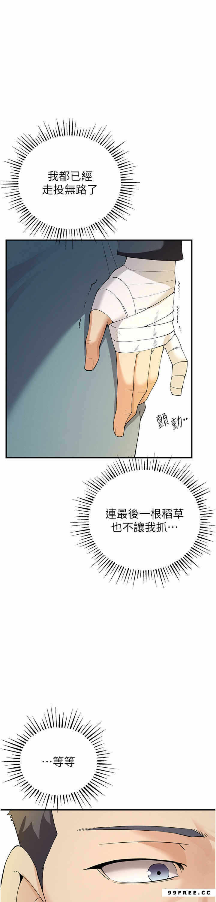 第43张