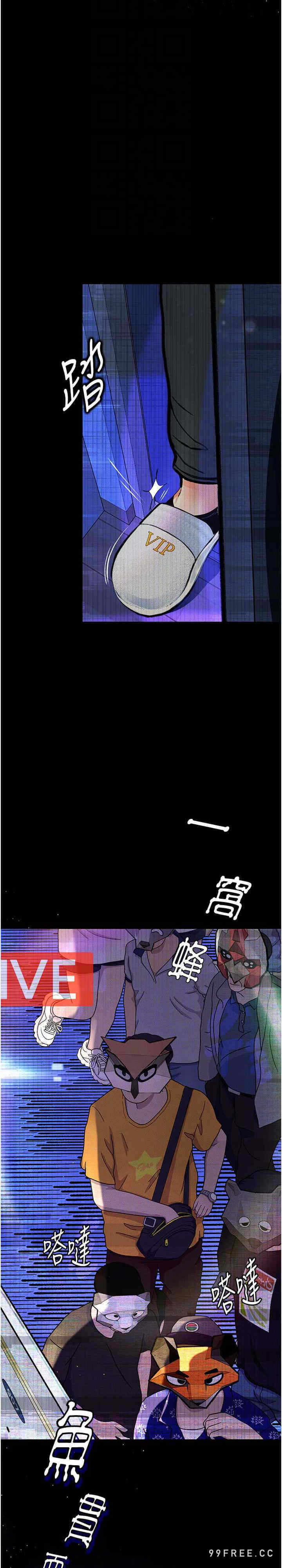 第21张
