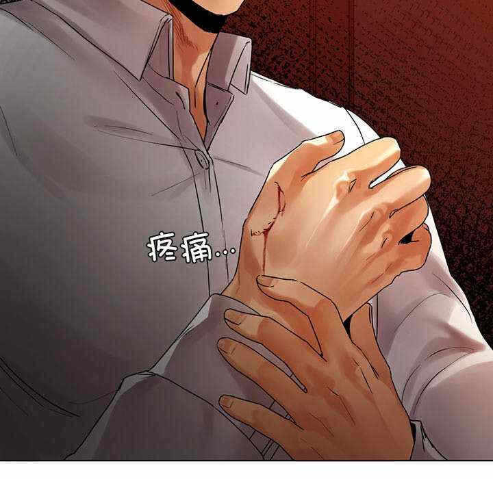 第63张