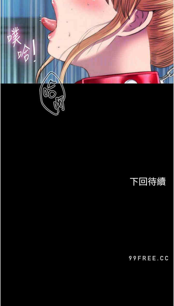 第24张