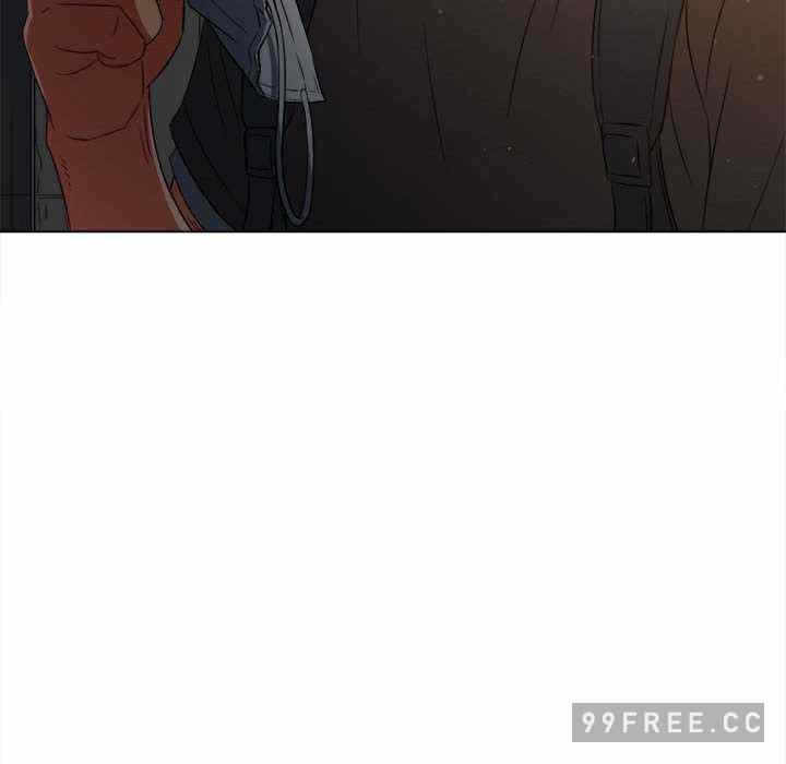 第41张