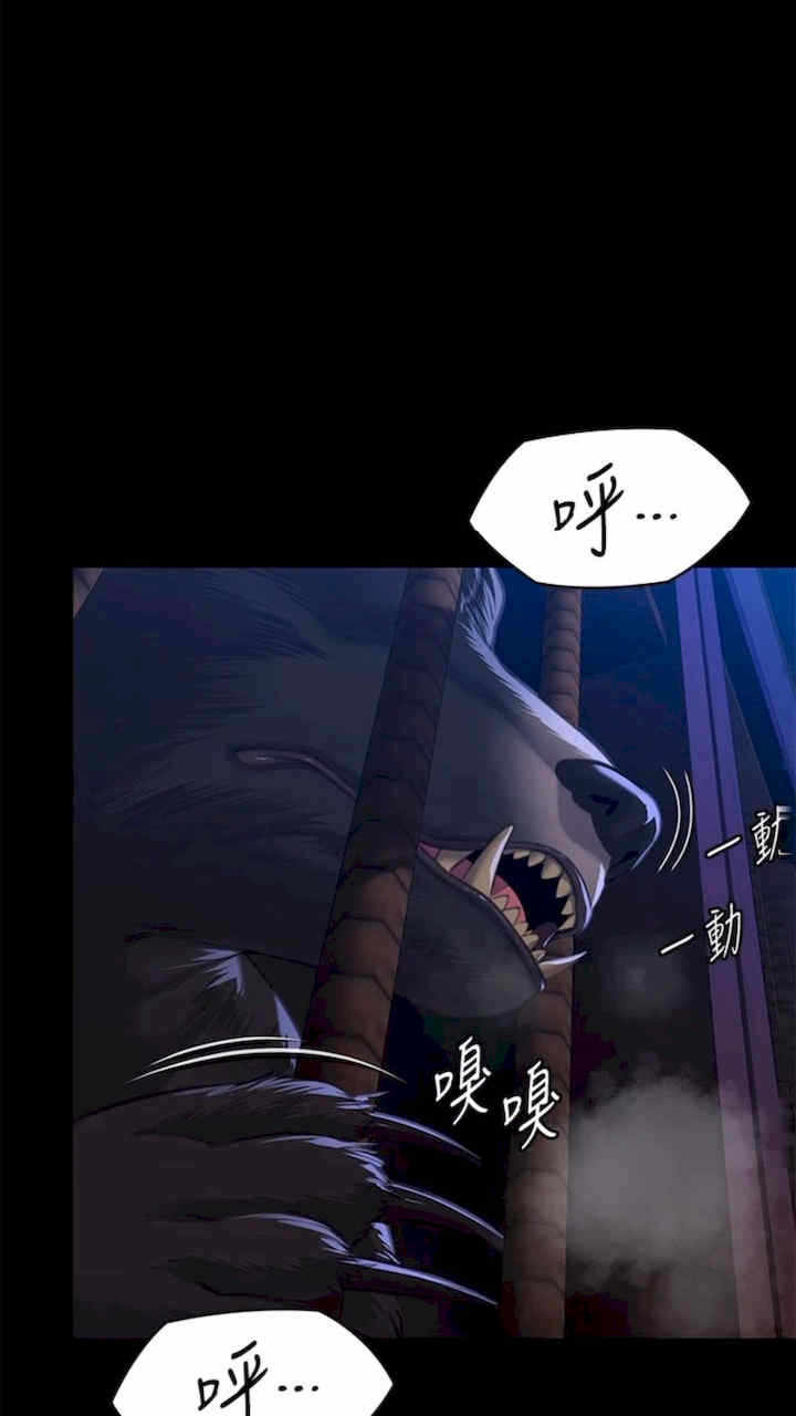 第79张