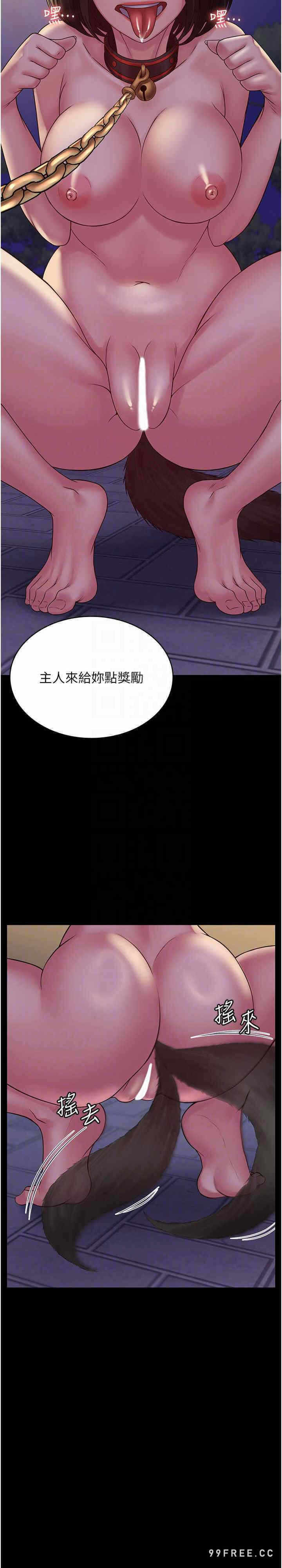第21张