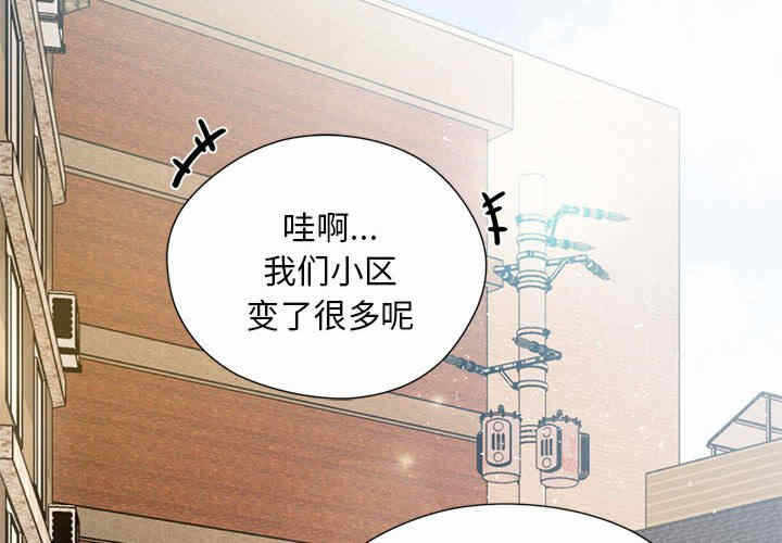 第12张