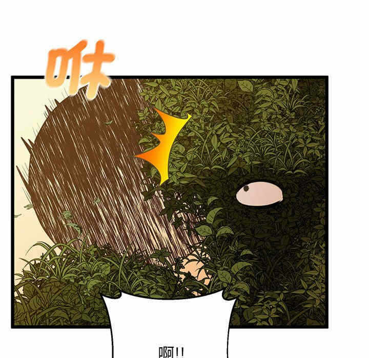 第93张