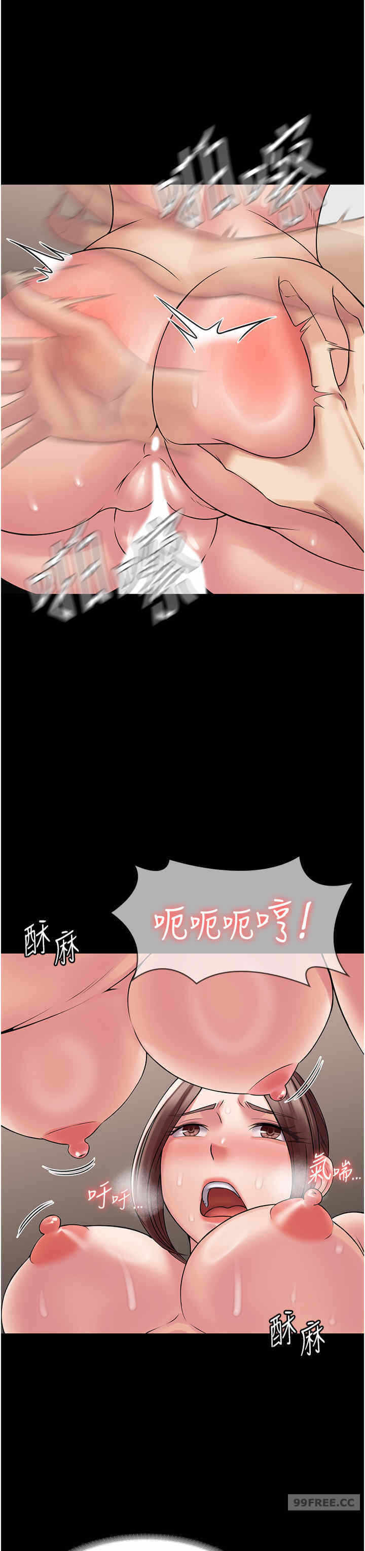 第11张