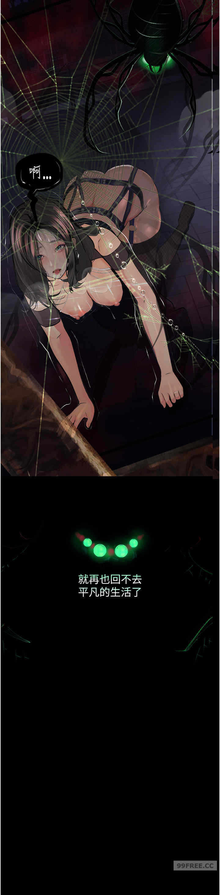 第31张