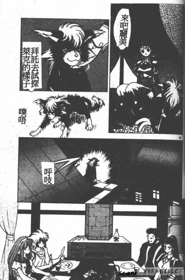 第13张