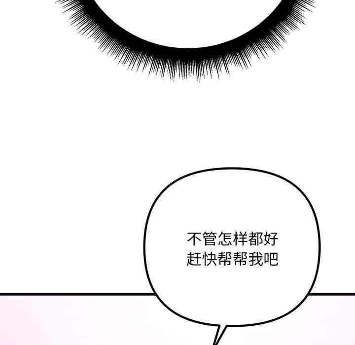 第146张