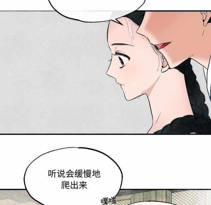 第46张