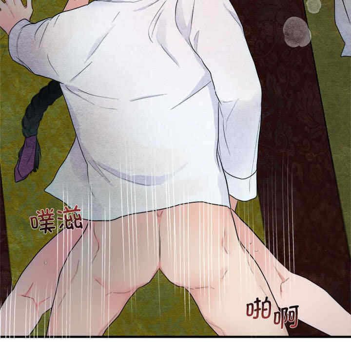第33张