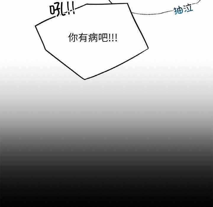 第145张
