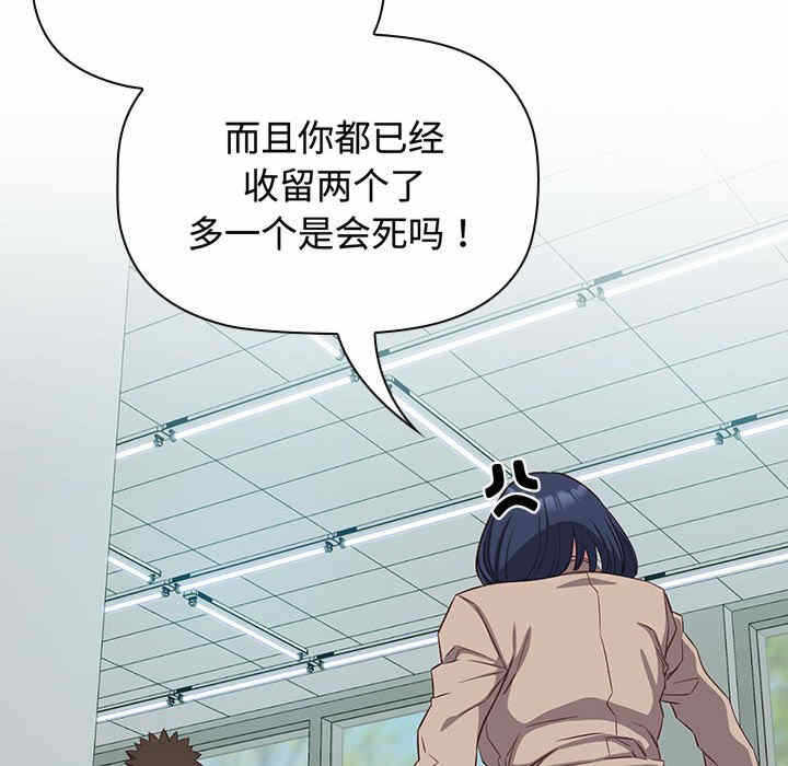 第3张
