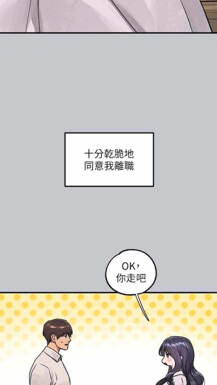 第111张