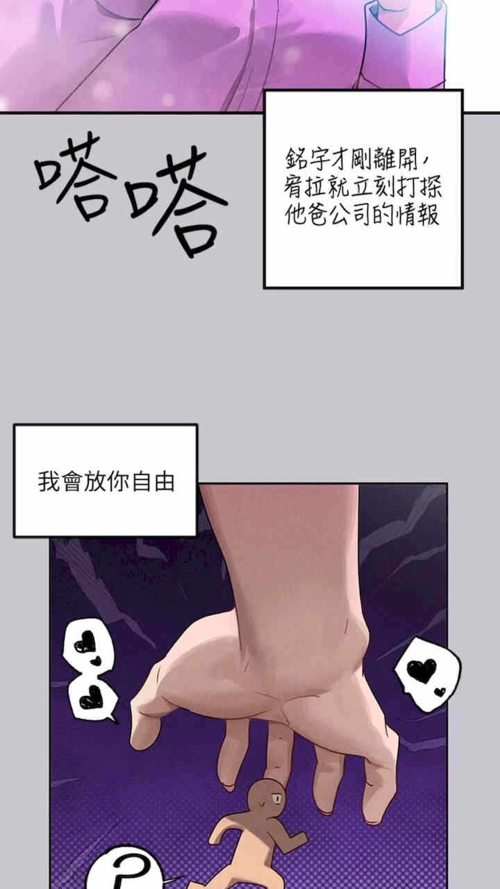 第43张