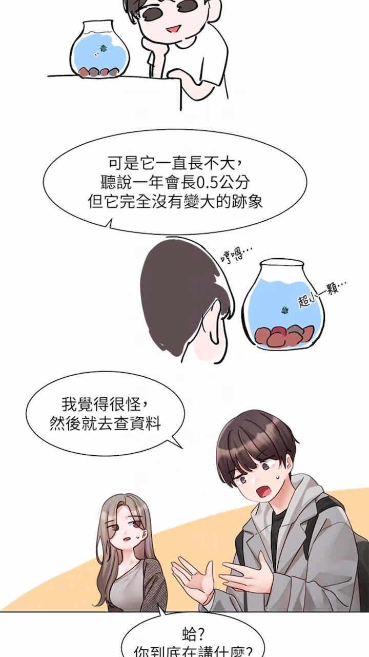第40张