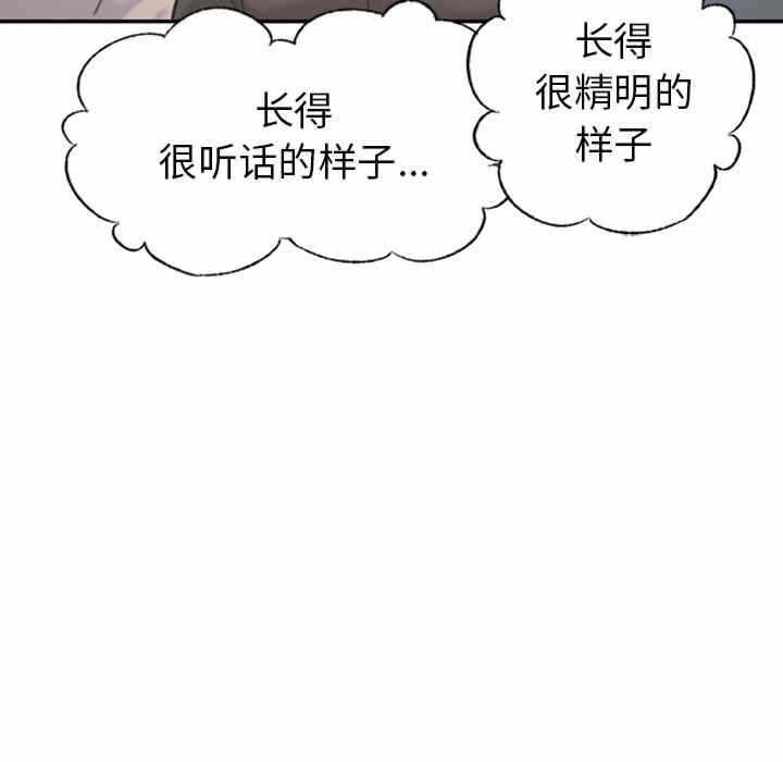 第240张