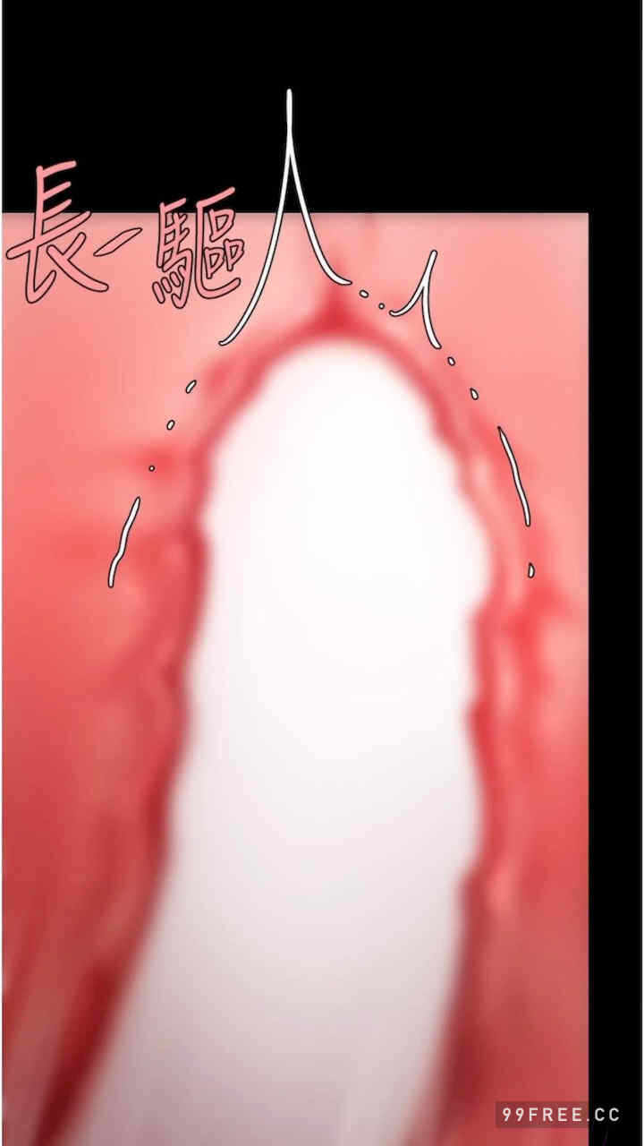 第43张