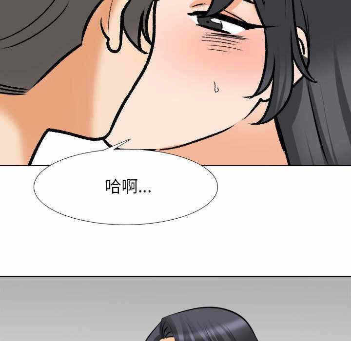 第43张