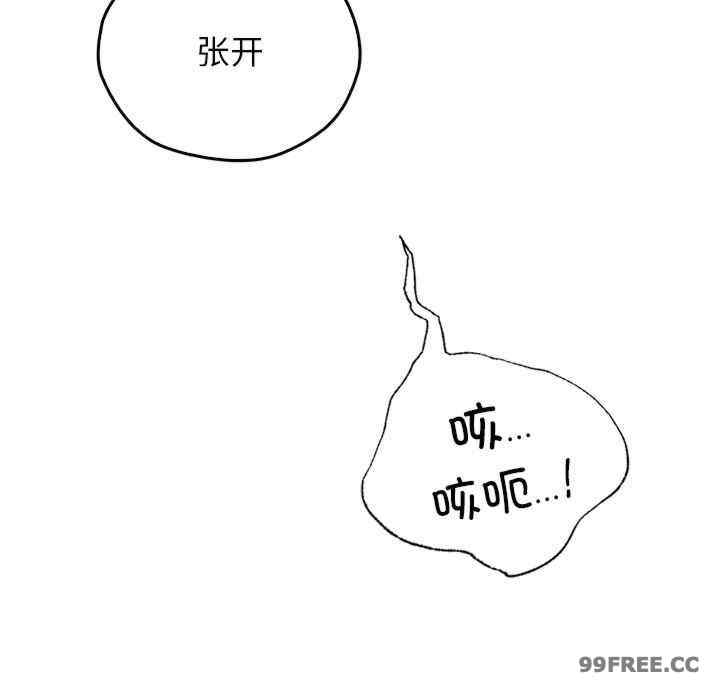 第18张