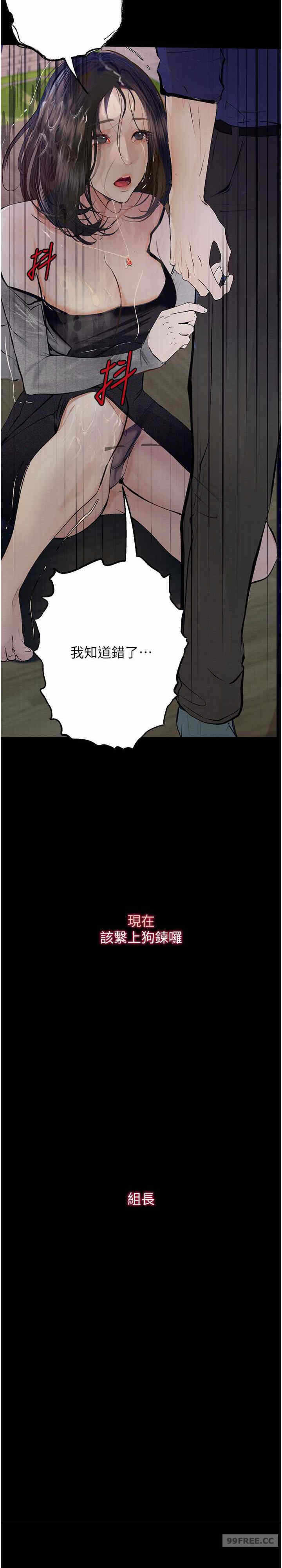 第41张