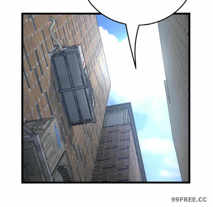 第88张