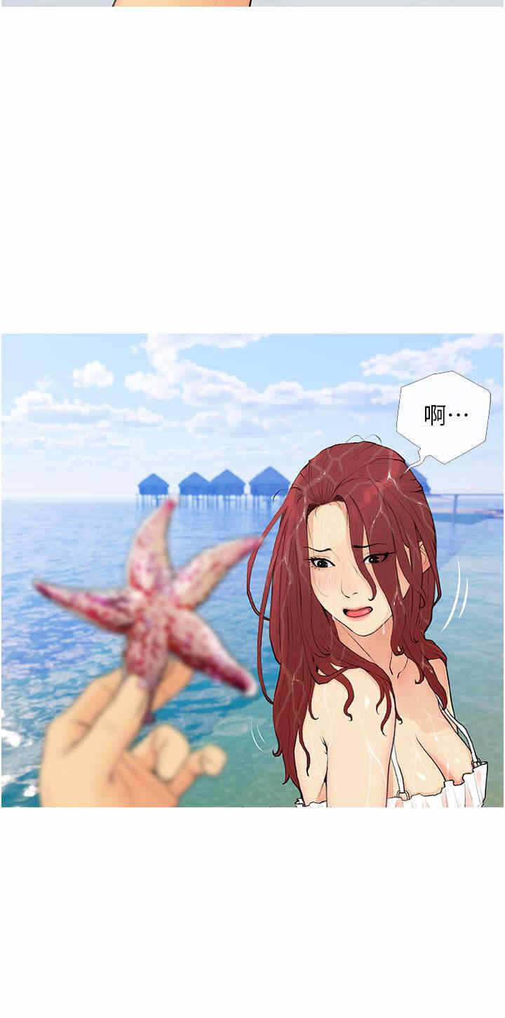 第4张