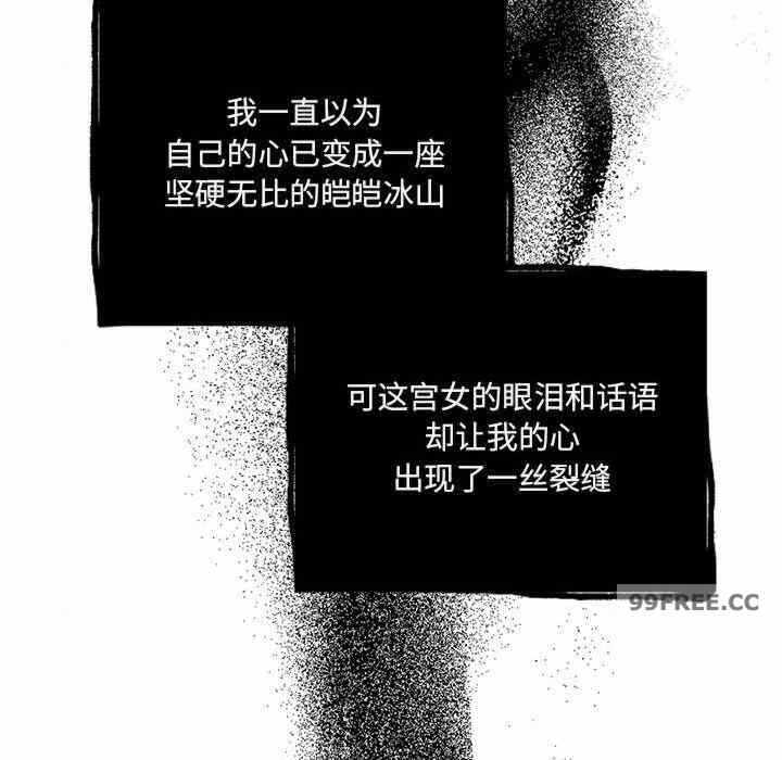 第52张