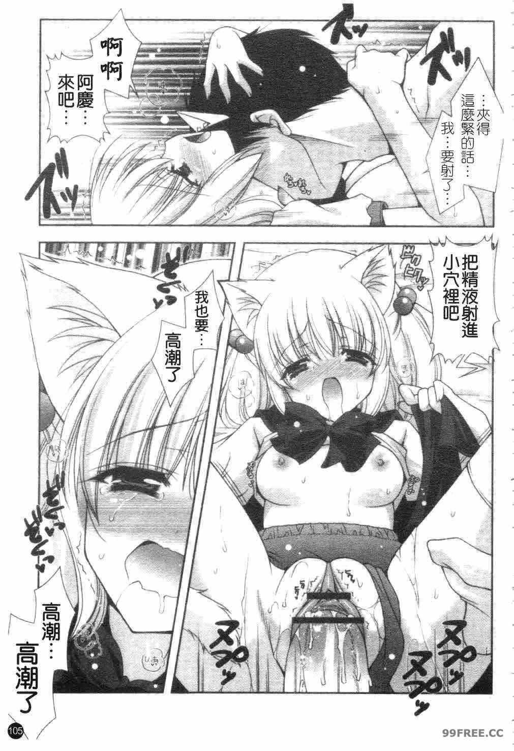 第19张