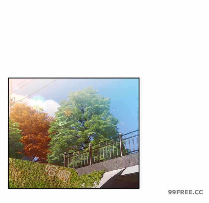 第56张