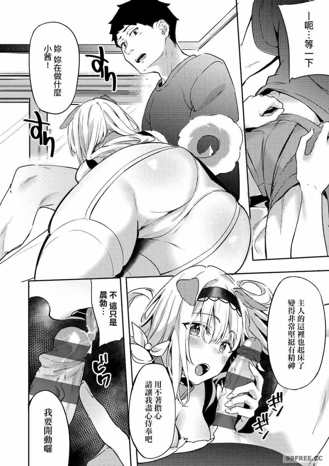 第19张