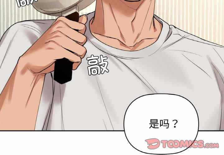 第3张