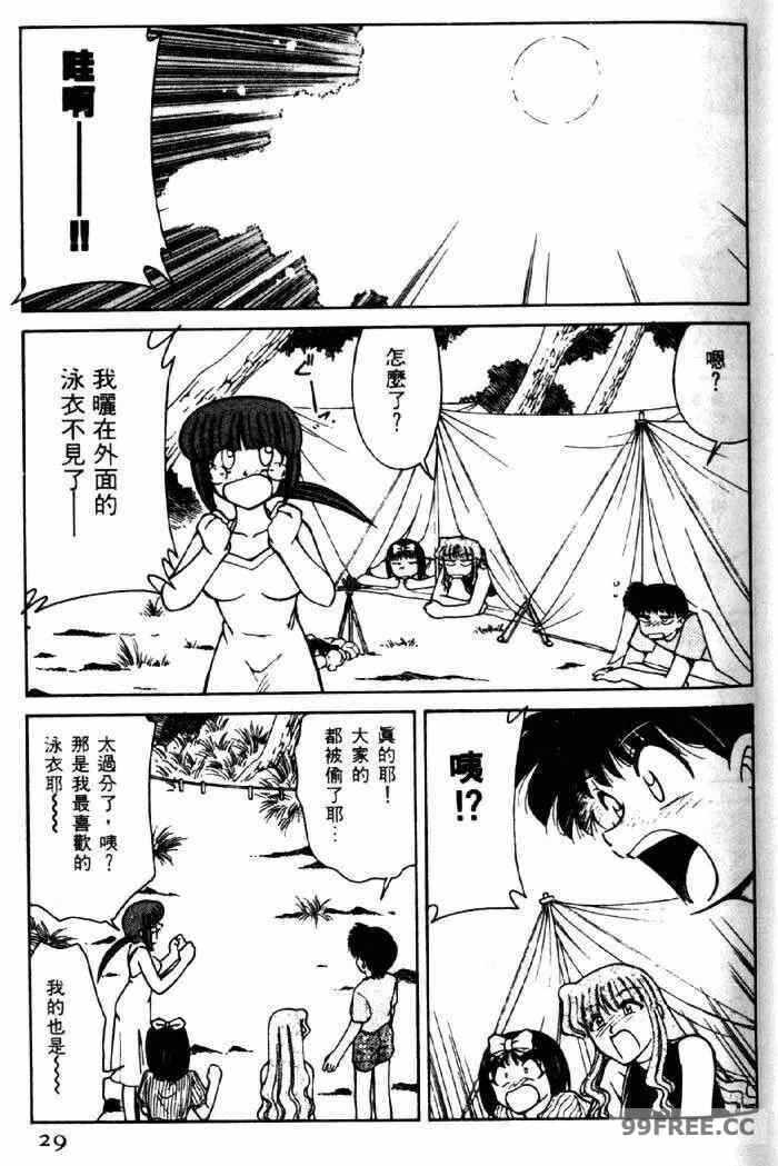 第13张