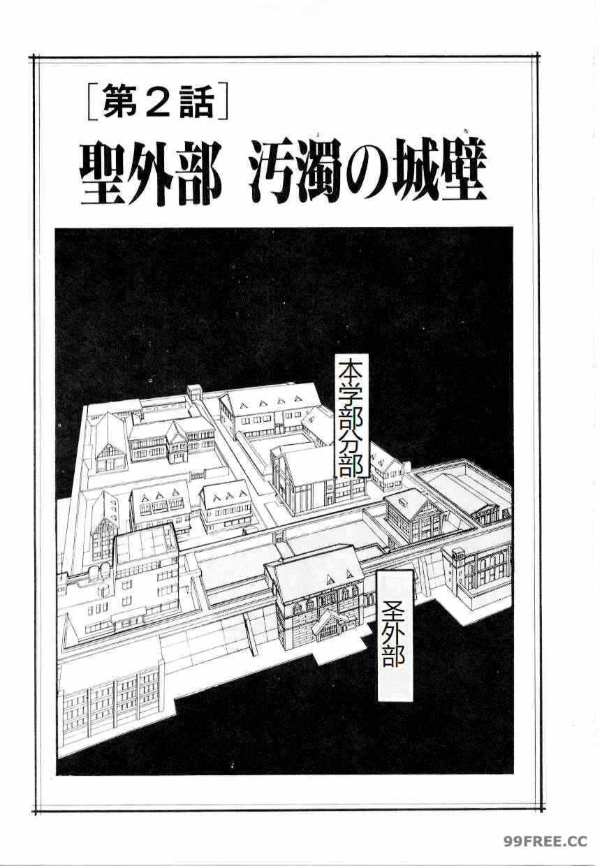第14张