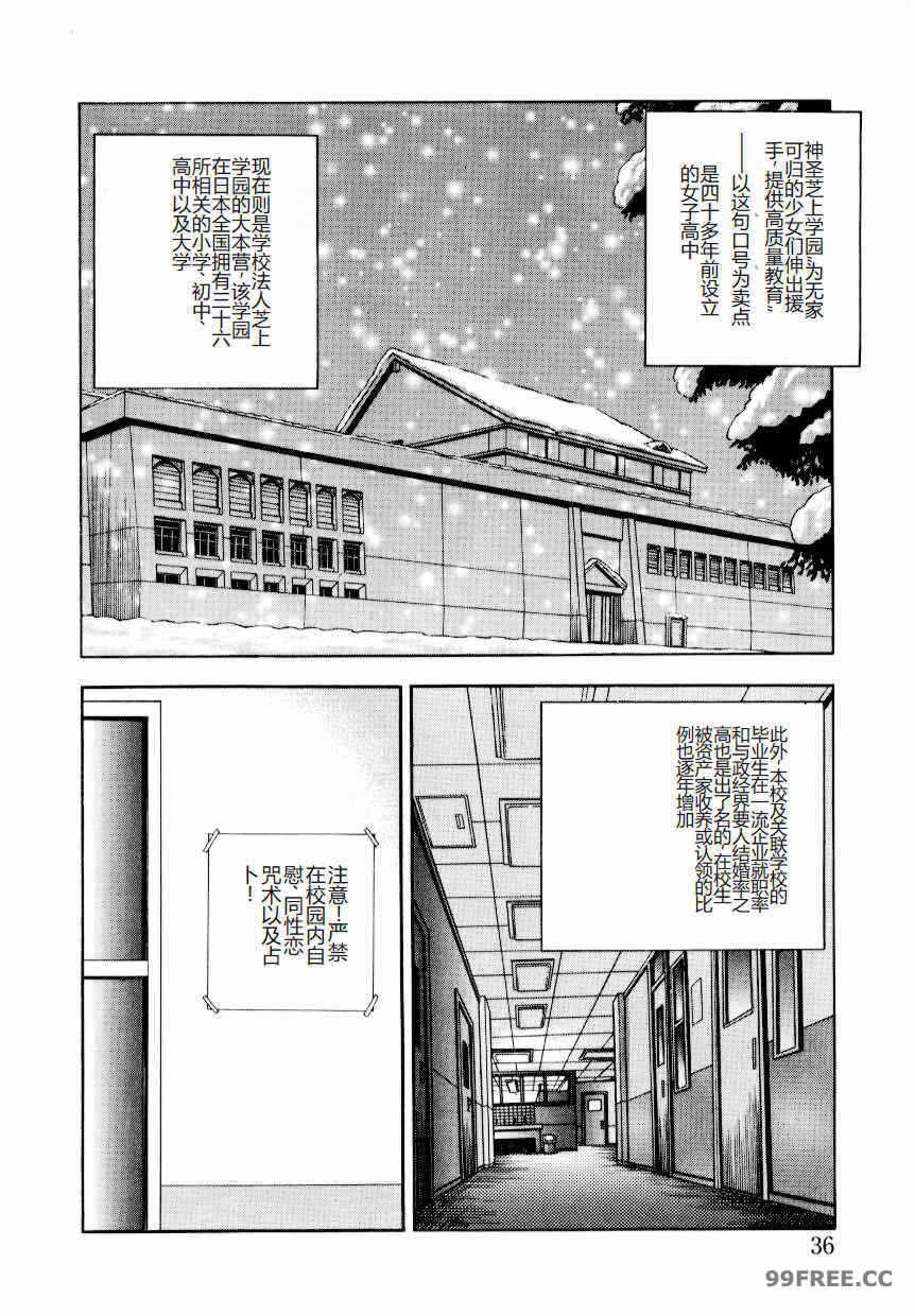 第13张