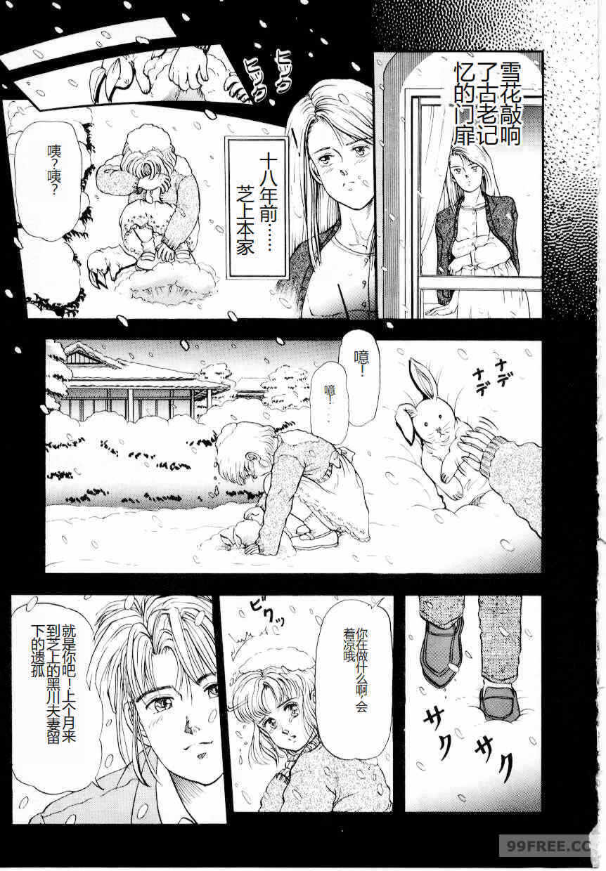 第12张