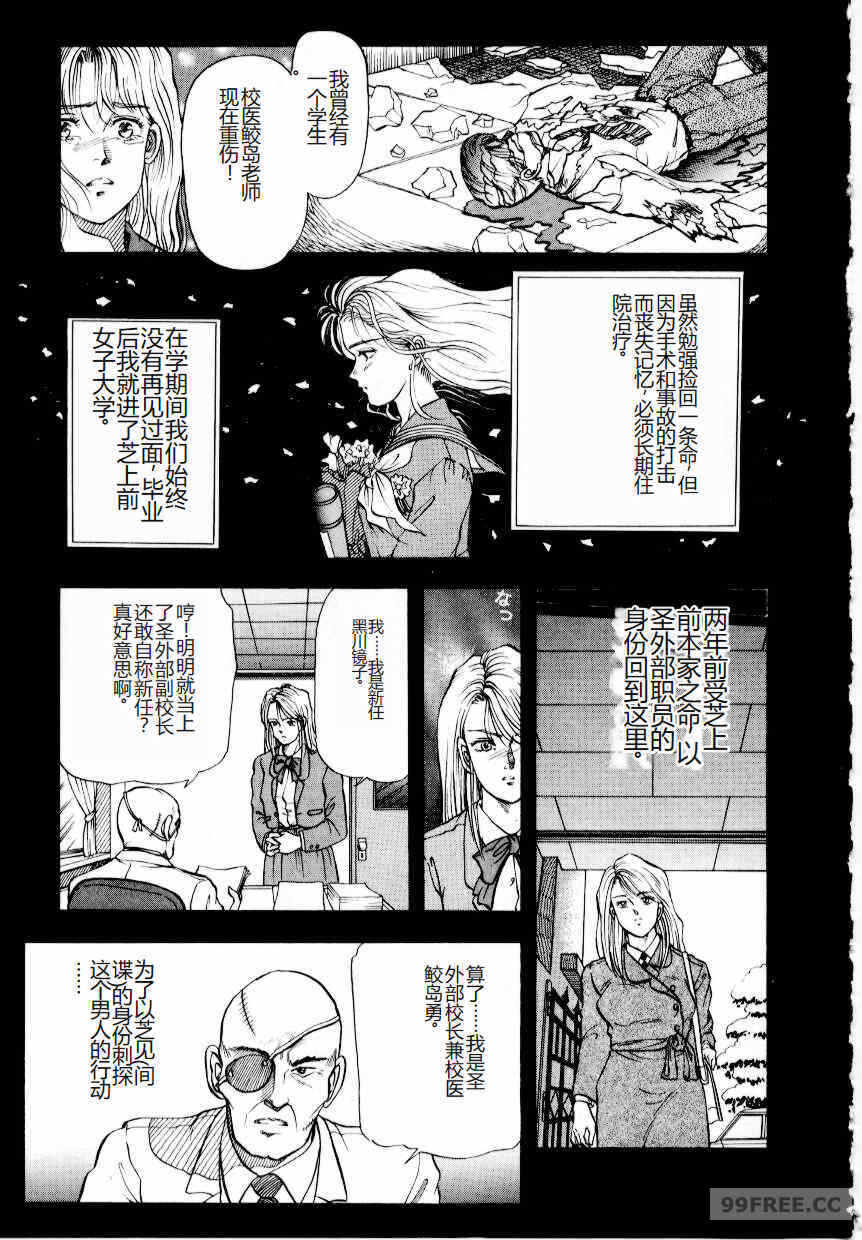 第16张