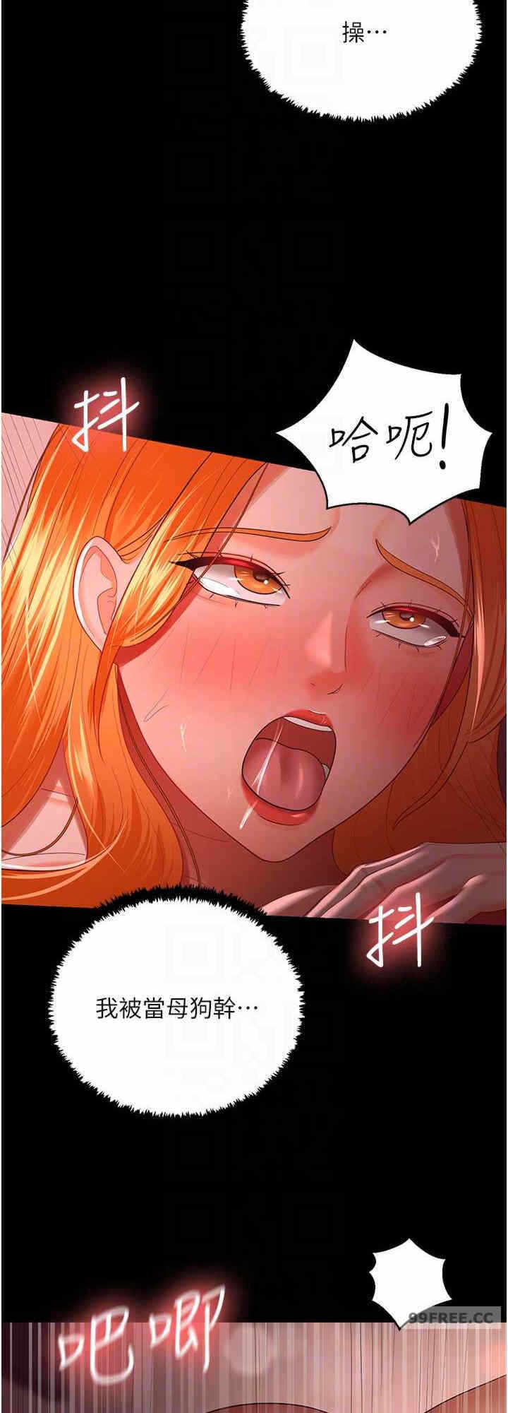 第24张