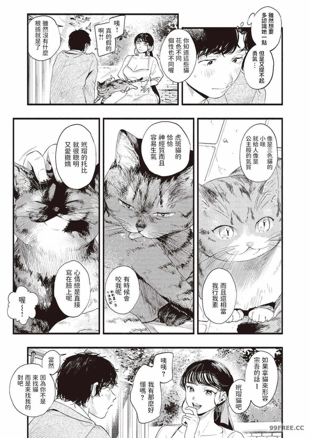 第6张