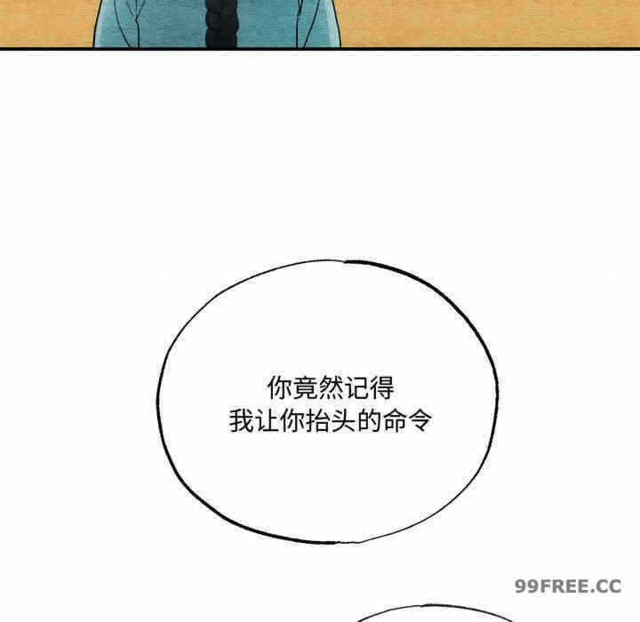 第41张