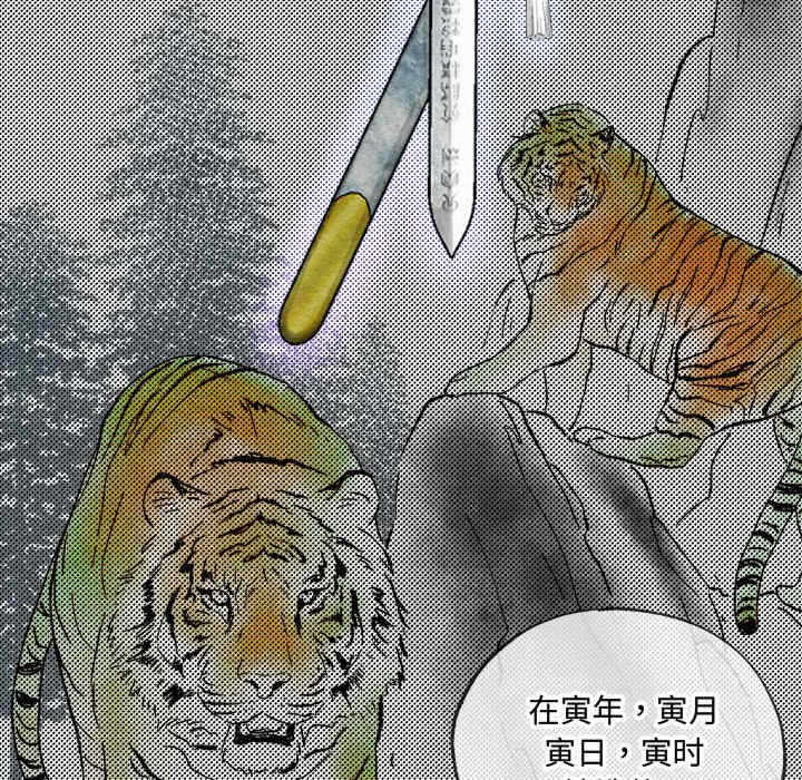 第54张