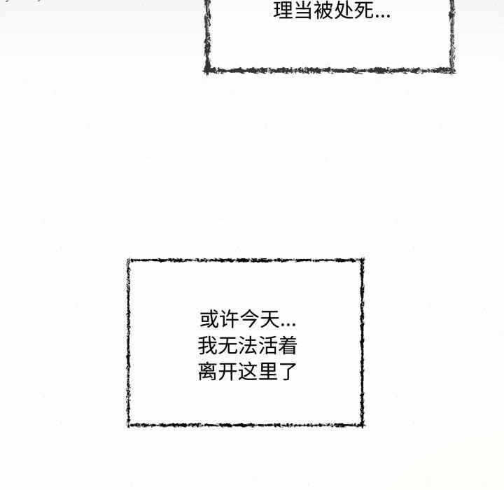 第66张