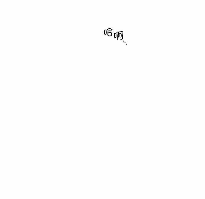 第77张