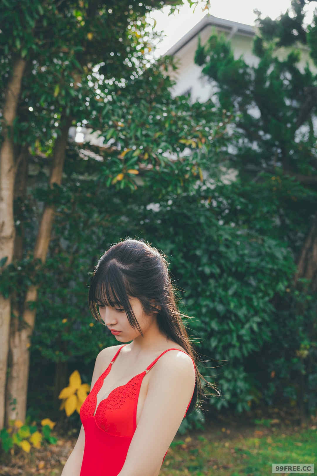 第3张