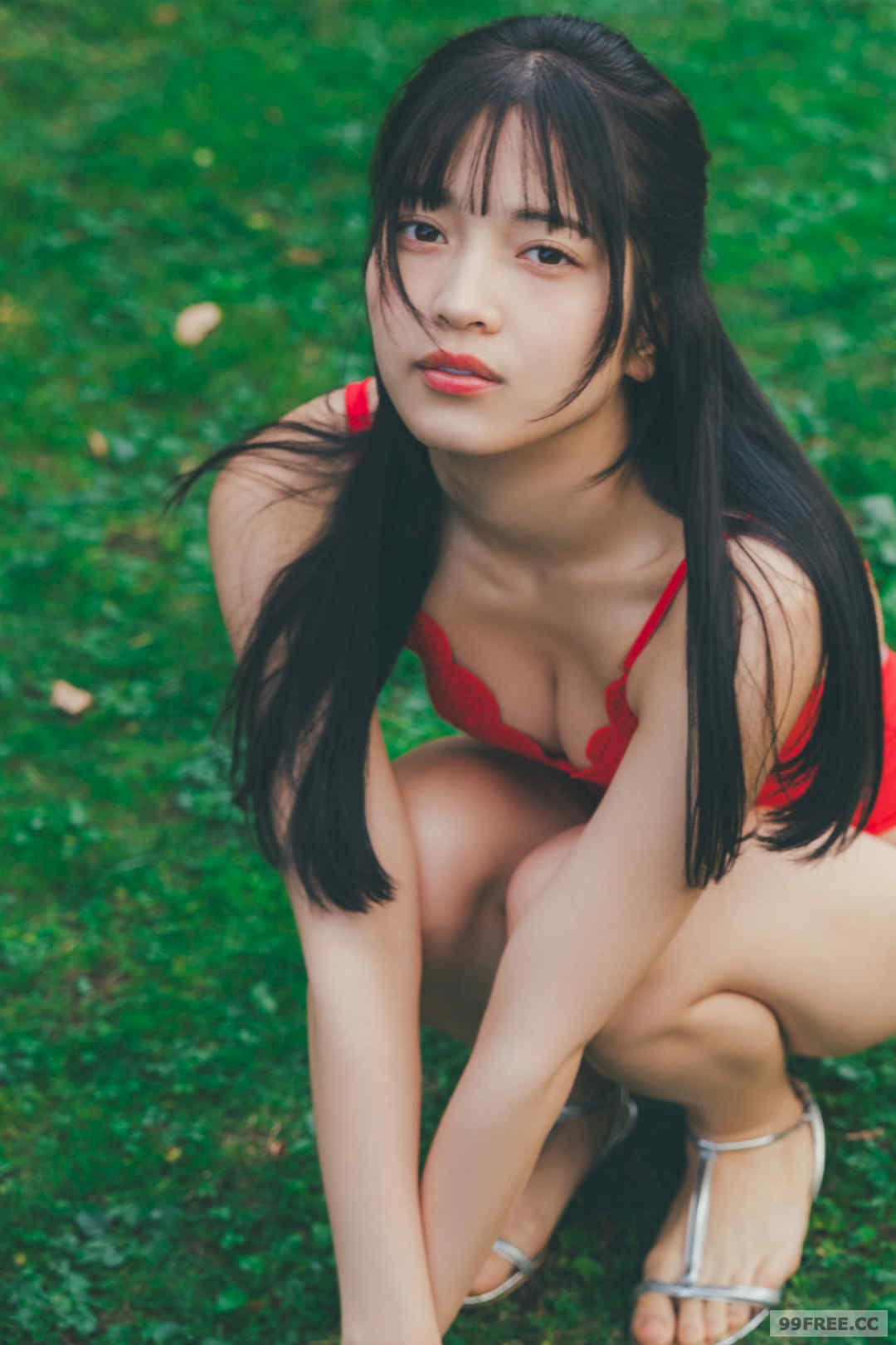 第5张
