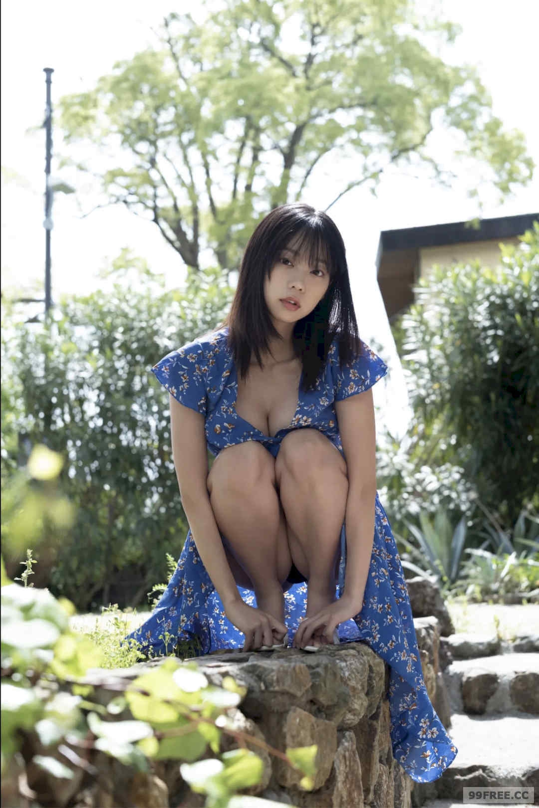 第6张